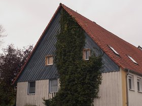 Angewachsen.jpg