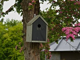 Birdhouse.jpg