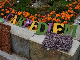 Carpe-Diem-Sign.jpg
