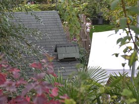 Little-House.jpg