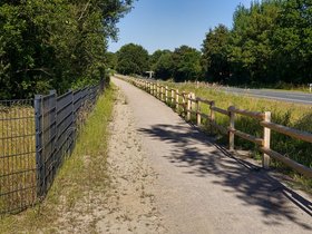 Little-Path.jpg