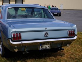 Mustang-Back.jpg