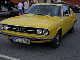 Yellow-Nose.jpg