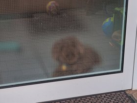 Behind-The-Door.jpg