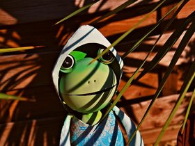 Frog-Behind-Palms.jpg