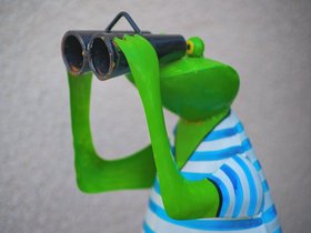 Frog-Watch.jpg