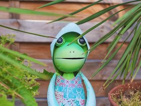 Frog.jpg