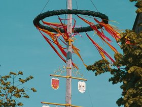Maibaum-Closeup-2021.jpg