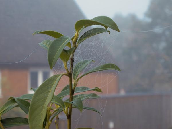 Oktober 2024