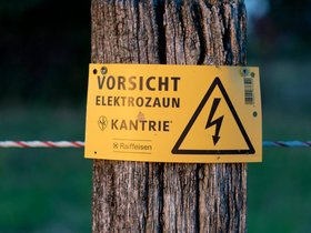 Elektrozaun.jpeg